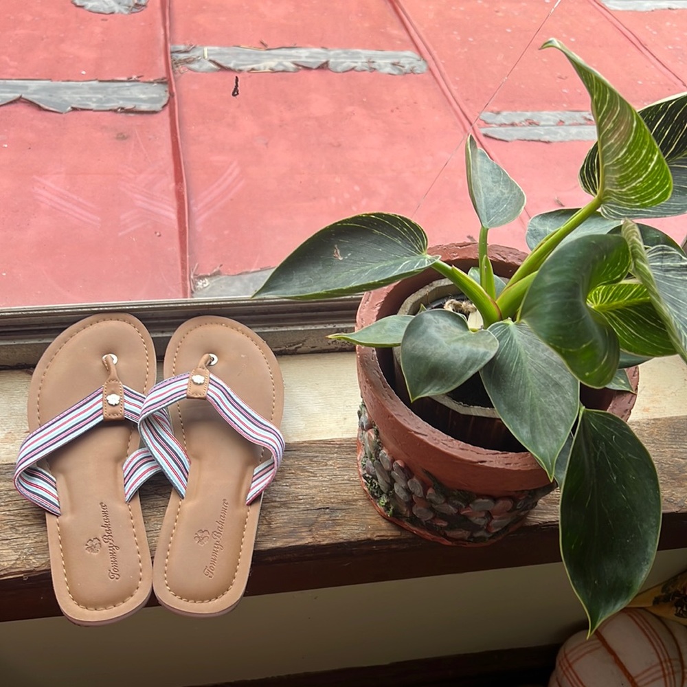 Tommy Bahama flip flops- never worn